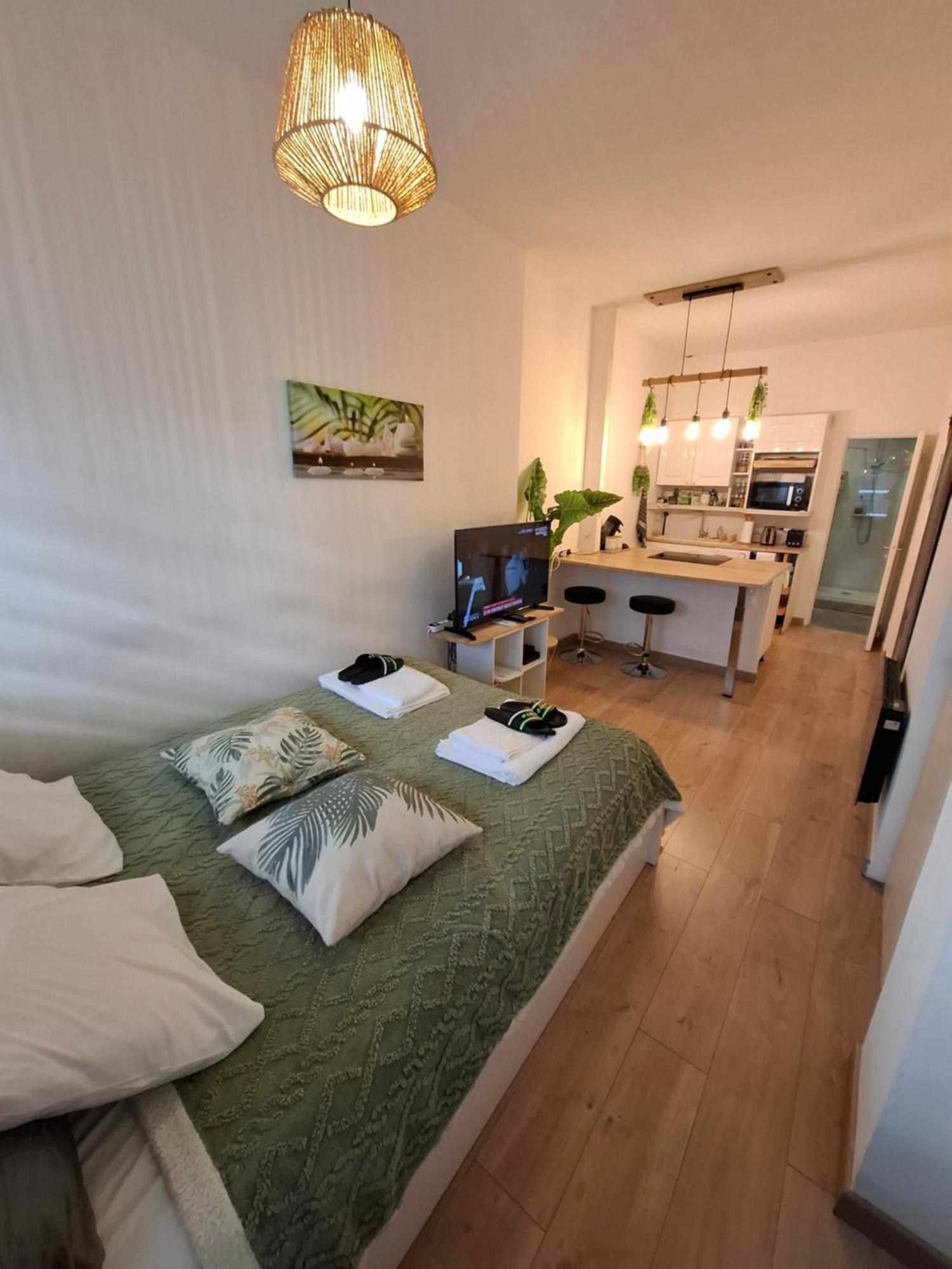 Appartement La Casa De Planel Gare Saint Roch Montpellier